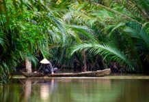 Quand partir au Vietnam
