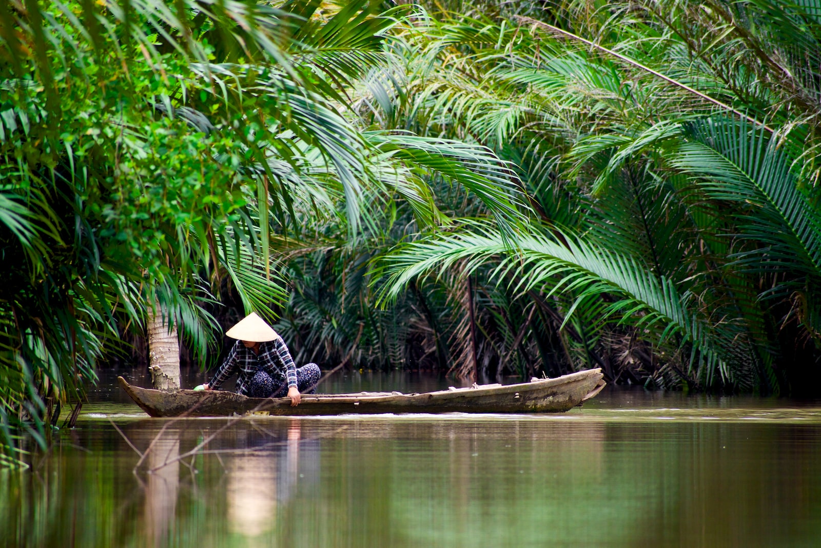 Quand partir au Vietnam