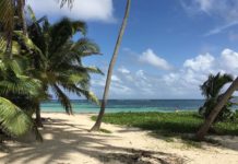 Quand partir à la Martinique