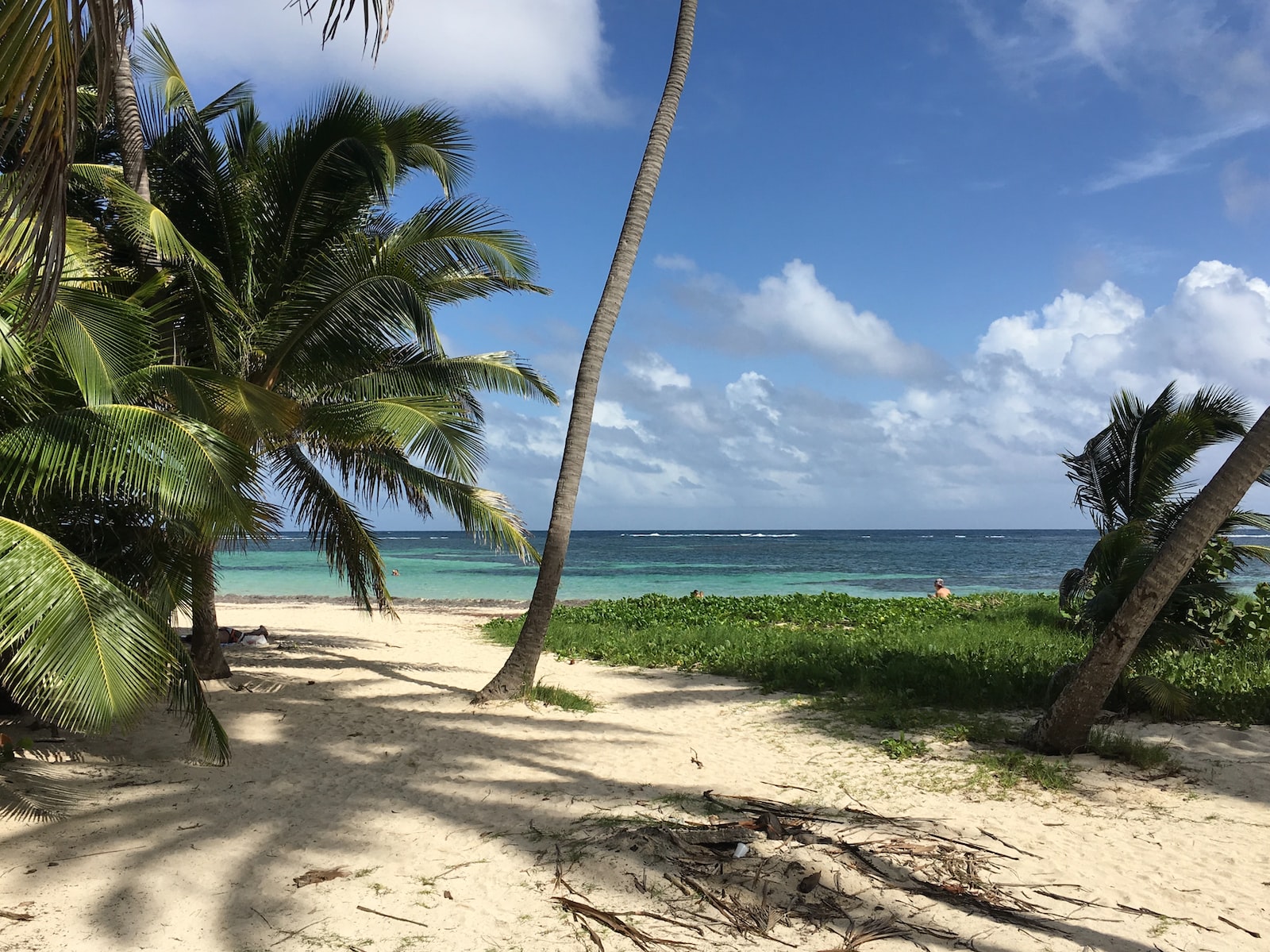 Quand partir à la Martinique